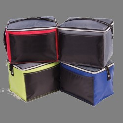 Custom Logo Arctic 6 Pack Cooler