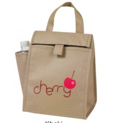 Custom Logo eGREEN Lunch Bag w/Bottle Pocket